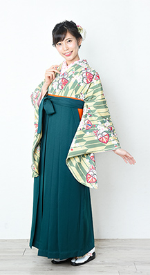 矢絣 葵に桜 鶸（ひわ）＋濃いグリーン無地袴レンタル